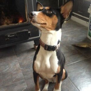 Meet your Posher, Delvin